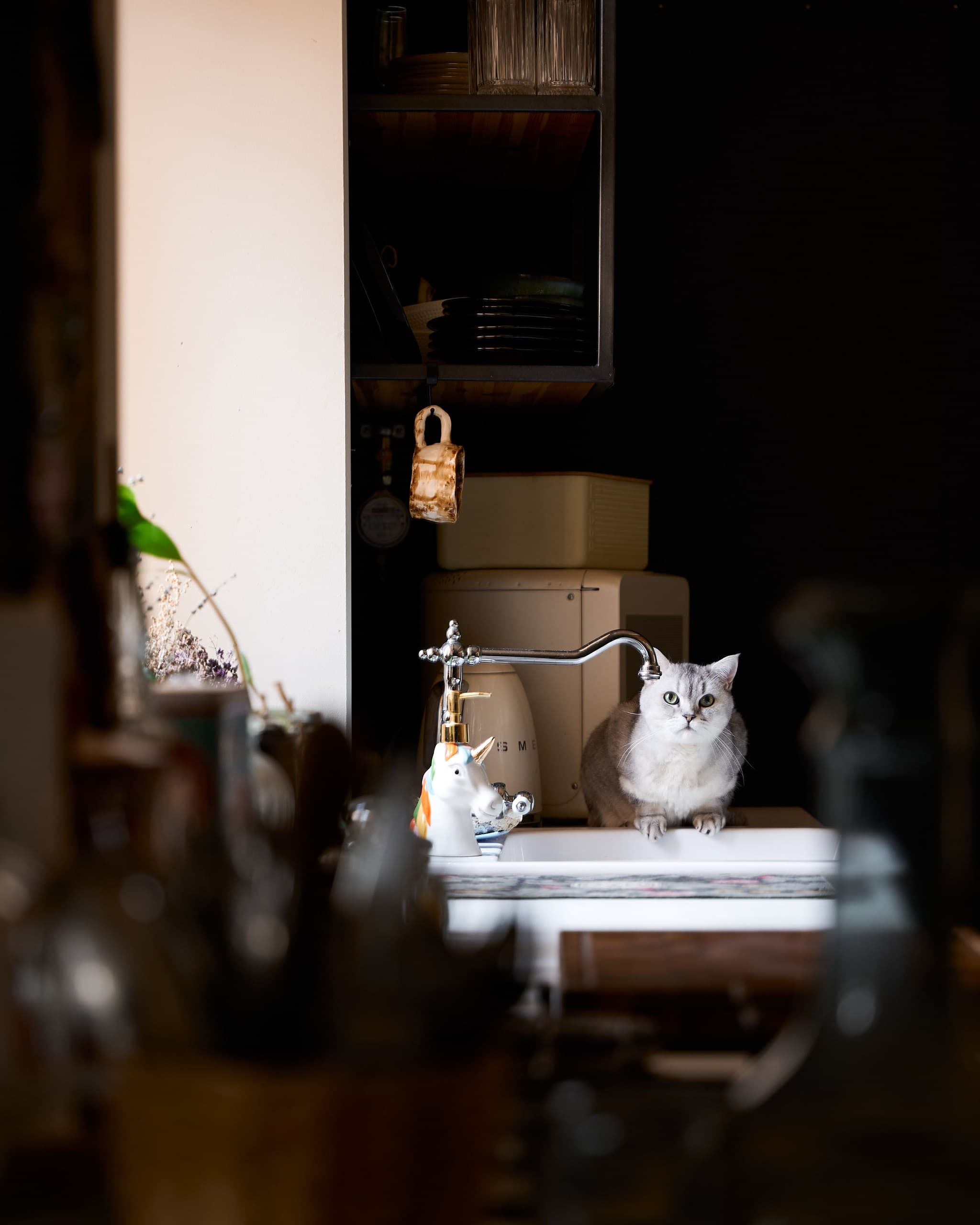 preview_3