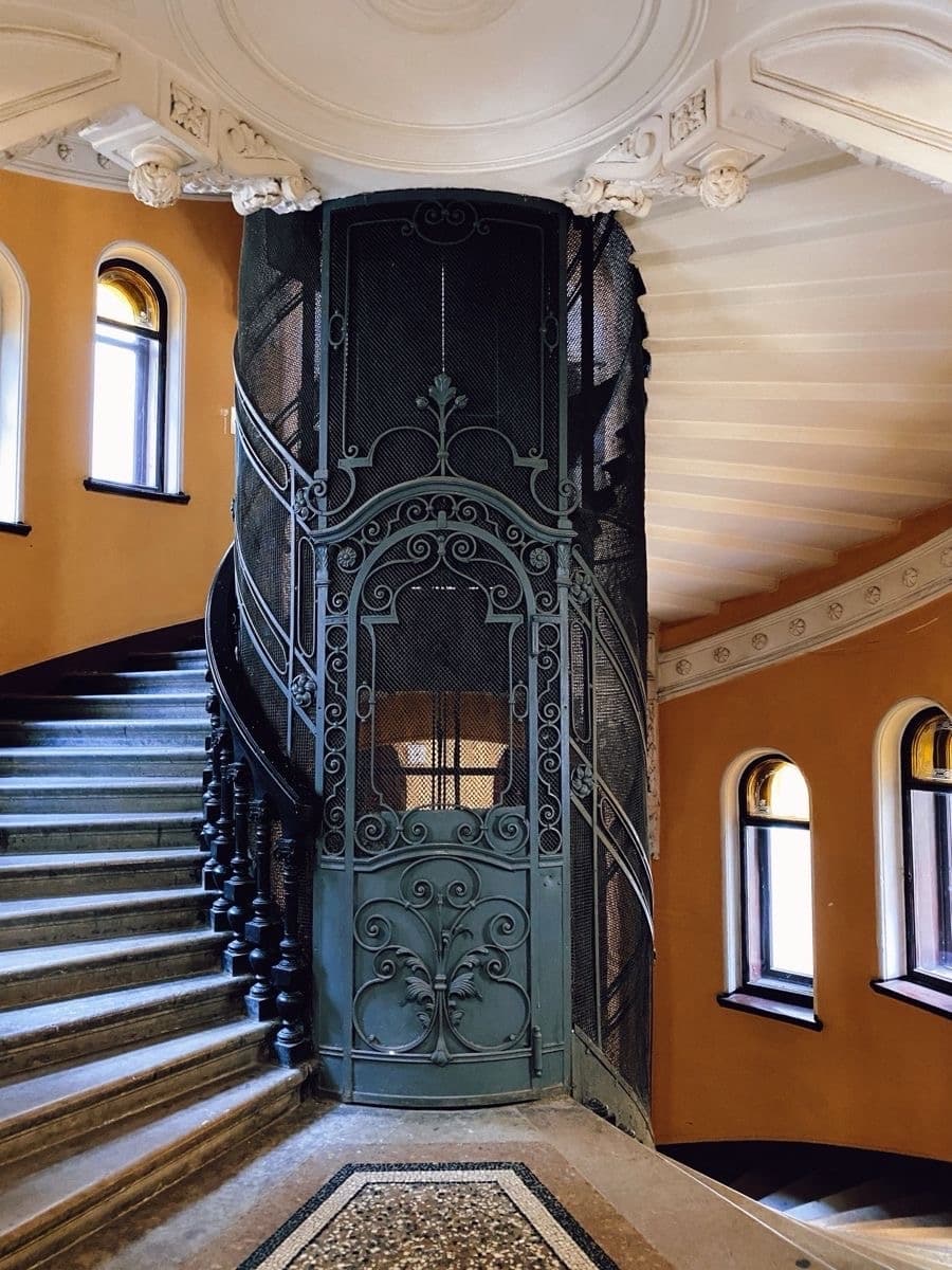 Парадная Ромашка — фото 2